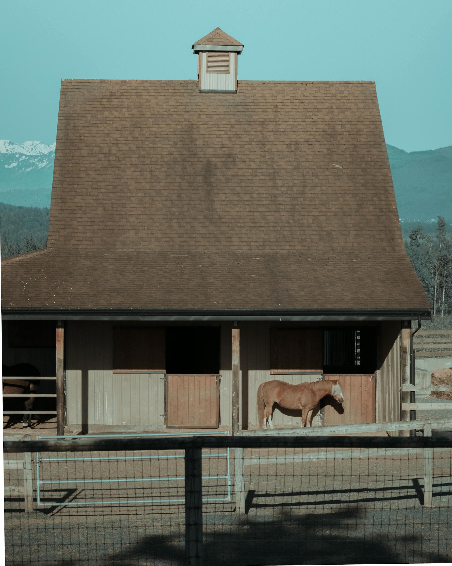 Architecture traditionnelle d'une grange de haras, cadre d'un élevage équin organisé